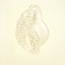 Load image into Gallery viewer, ORIBE HAIR ALCHEMY RESILIENCE SHAMPOO